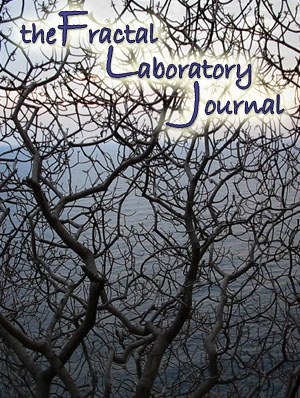 the fractal laboratory journal
